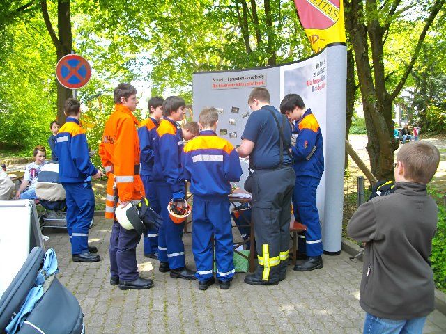 Bild 184